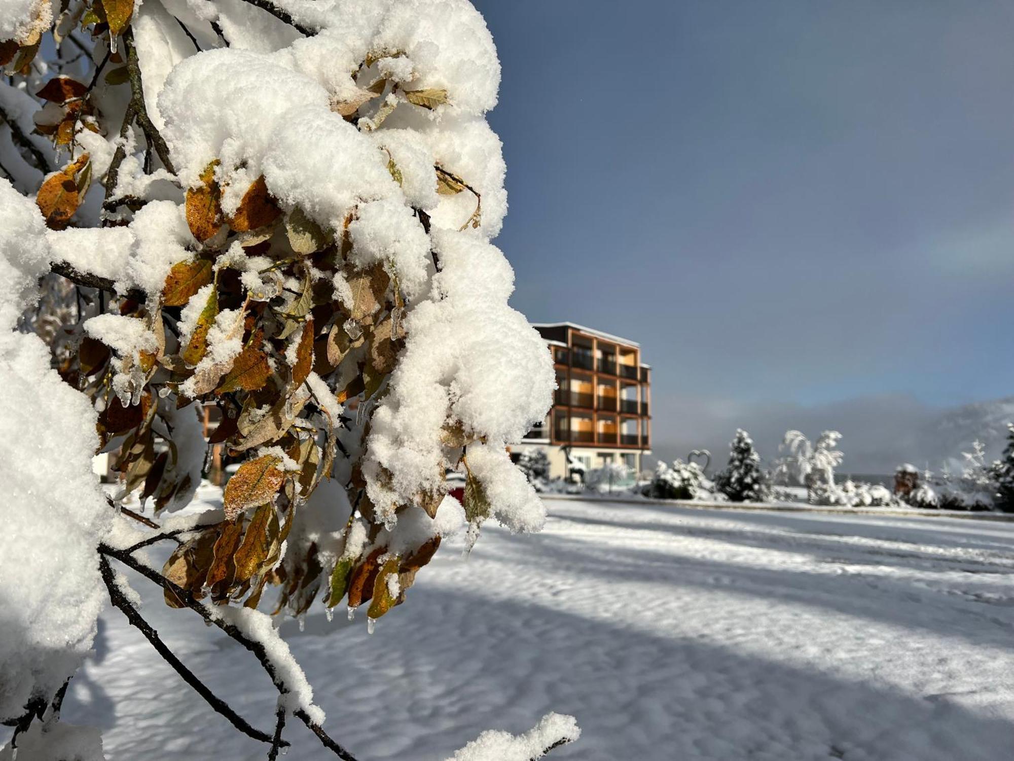 Hotel Lech Da Sompunt Badia  Bagian luar foto